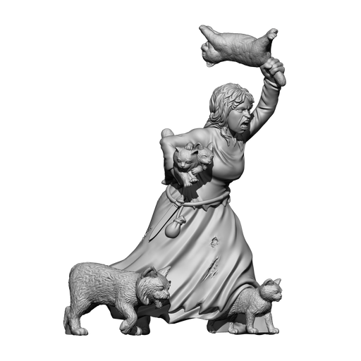 AX001 - Crazy Cat Lady - Only-Games