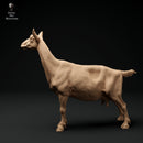 Alpine Goat 1/35 - Only-Games