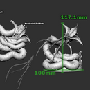 Neothelid - Only-Games