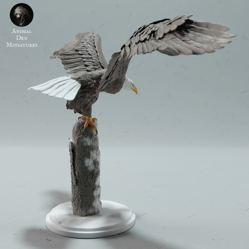 Bald Eagle - Only-Games