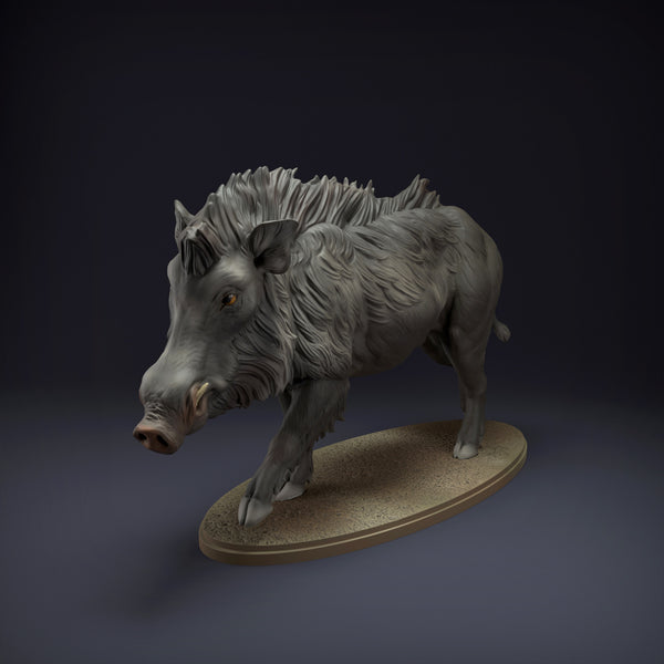 Indian Wild Boar 1/20 - Only-Games