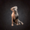 Animal Pack - Only-Games