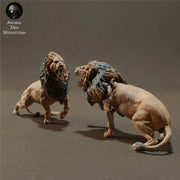Lions Fighting 1/43 - Only-Games