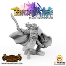 Callan, Captain of the Kingsguard Shieldguard - Only-Games