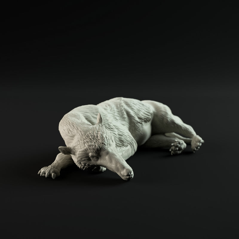 Andrewsarchus resting 1-35 scale prehistoric animal - Only-Games