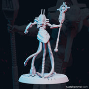 PSYCHLORD – WIELDER OF VISIONS - Only-Games