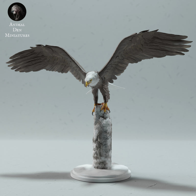 Bald Eagle - Only-Games