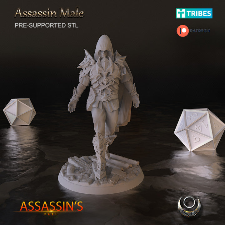 Assassin Male - Only-Games
