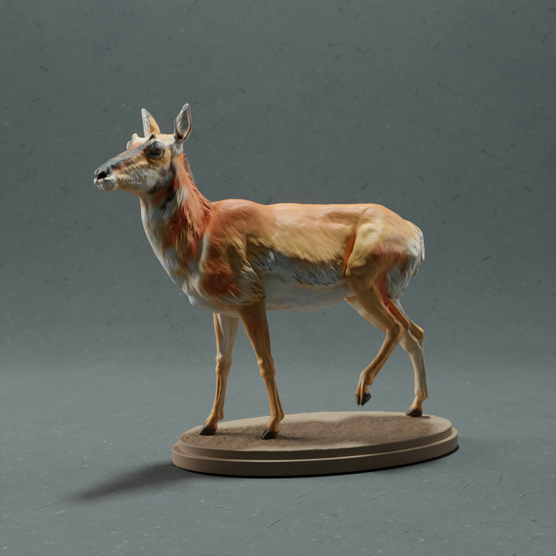 Pronghorn Antelope Female 1:32 - Only-Games