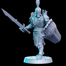 Amladril with sword and shield (elven deathknight)- 32mm - DnD - Only-Games