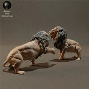 Lions Fighting 1/43 - Only-Games