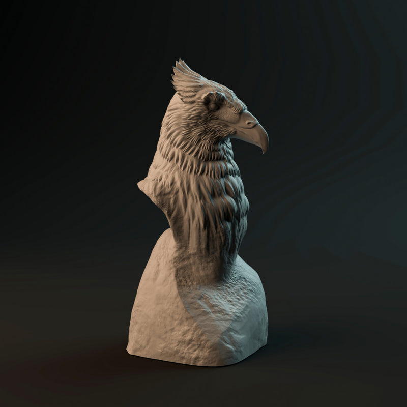 Haast Eagle bust - Only-Games