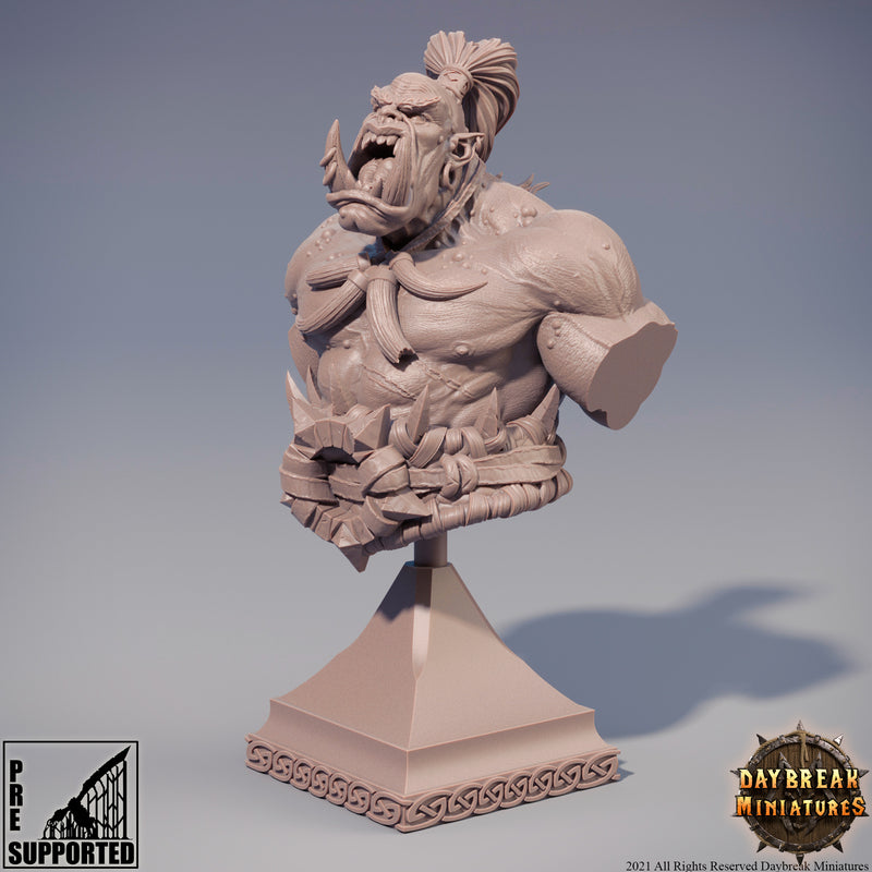Hector Stumpfkant Bust - Mercenaries of the Void - Only-Games