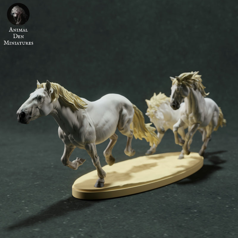 Camargue Horses Run 1/43 - Only-Games