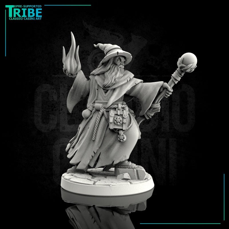 (0039) Male human wizard - Only-Games