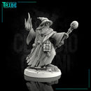 (0039) Male human wizard - Only-Games