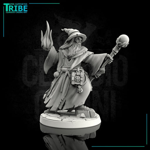 (0039) Male human wizard - Only-Games