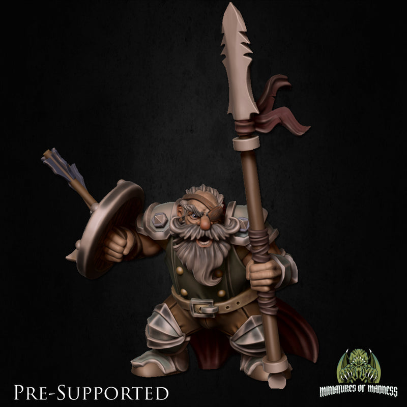 Balindur Sharpeyed [PRE-COLORED] 32mm Scale Dwarf Fighter - Only-Games