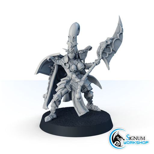 Indnet, Dark Elf Warrior - Only-Games