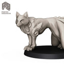 White Tail - Familiar - Only-Games