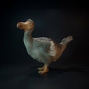 Dodo standing prehistoric bird 1/20 scale - Only-Games