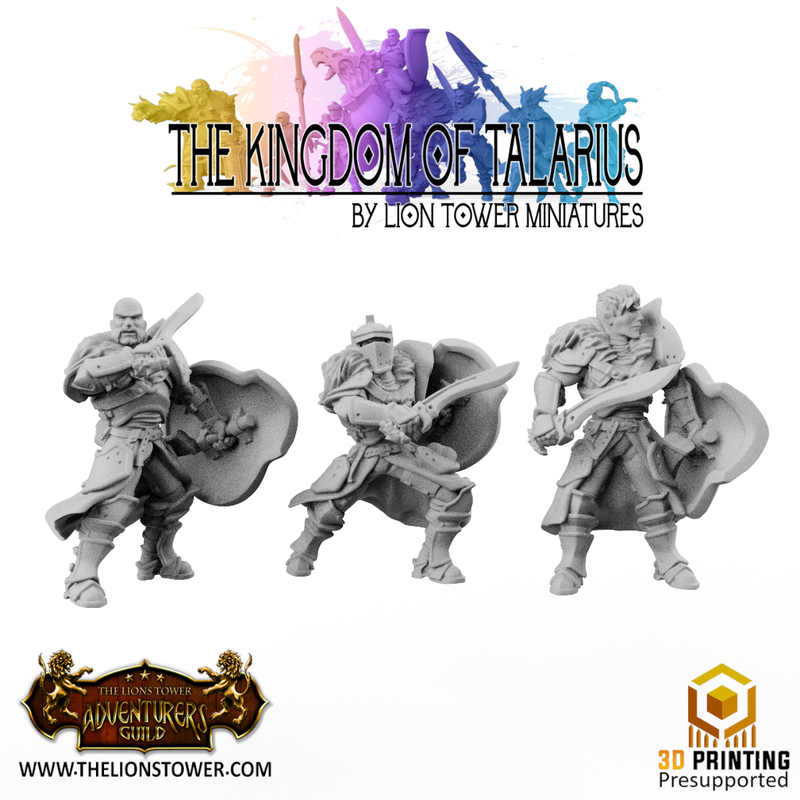 Kingsguard Shield Guard (12 x 32mm scale minis) - Only-Games