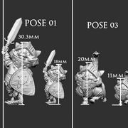 Pointy Eared Mercenary (All 4 poses) - Only-Games
