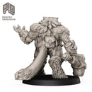 Tabaxi Barbarian - Only-Games