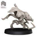 Wily The Shadow - Demi Dragon Thief - Only-Games