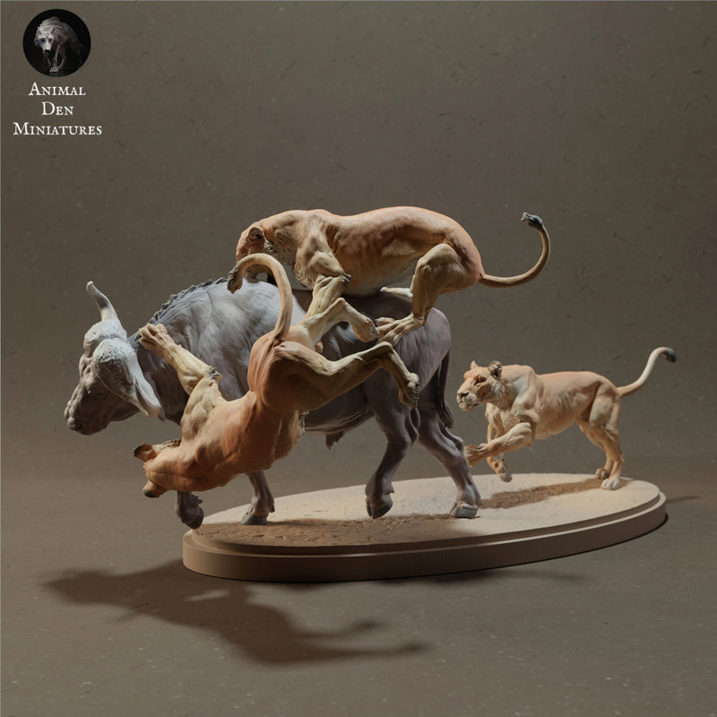 Lioness pack hunting a Buffalo 1/43 - Only-Games