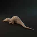 Carcharadontosaurus hatchling sleeping - Only-Games