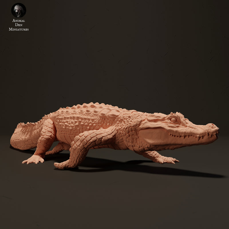 Black Caiman 1/18 - Only-Games