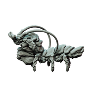 Mantis Shrimp - Only-Games