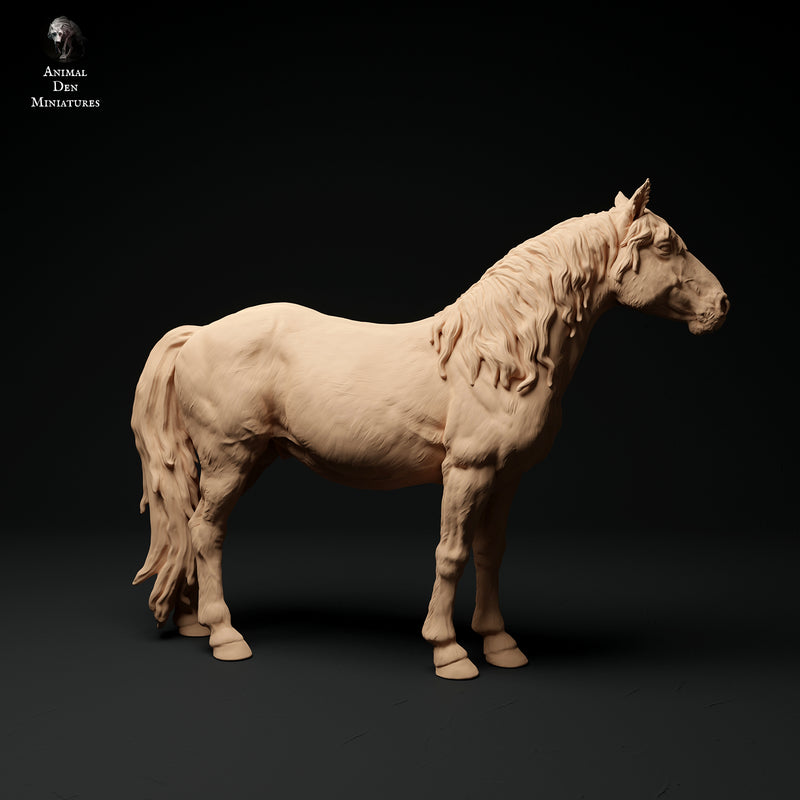 Konik Horse 1/43 - Only-Games