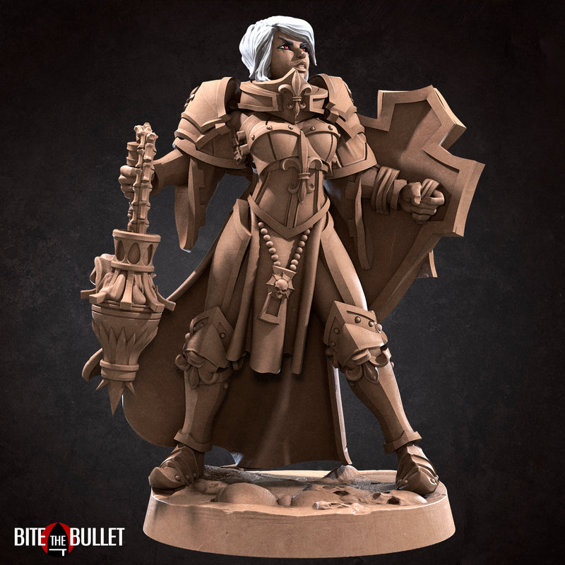 Diana, the War Sister Purifier - Only-Games
