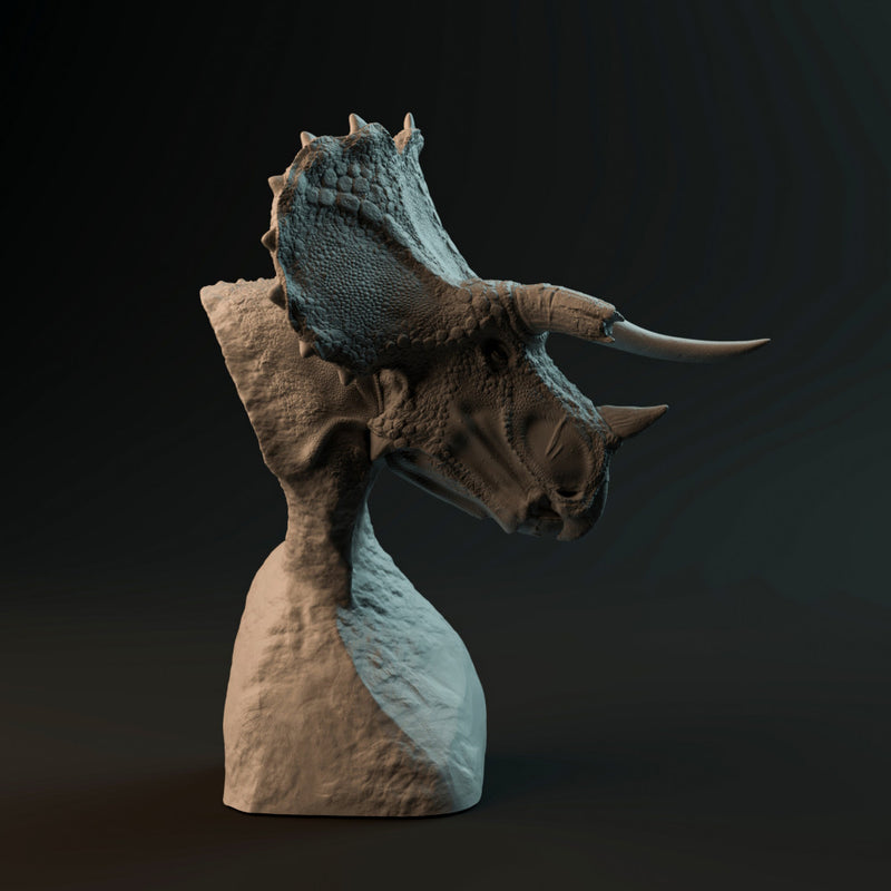 Triceratops bust - Only-Games
