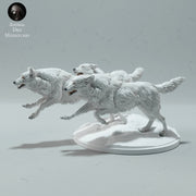 Arctic Wolves Run 1:24 - Only-Games