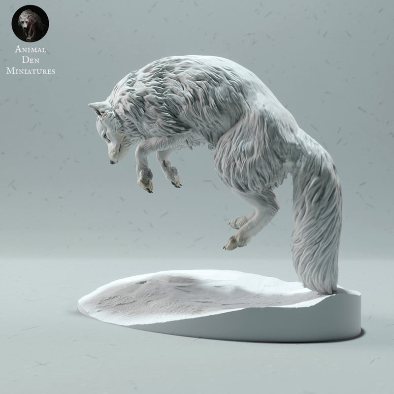 Arctic Fox Jumping - Only-Games