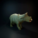 Triceratops baby dinosaur - Only-Games