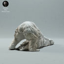 Polar Bear Scratching - Only-Games