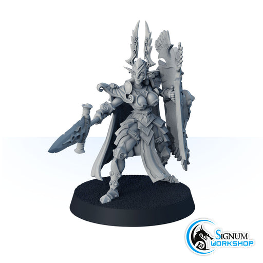 Gallror, Dark Elf Warrior - Only-Games