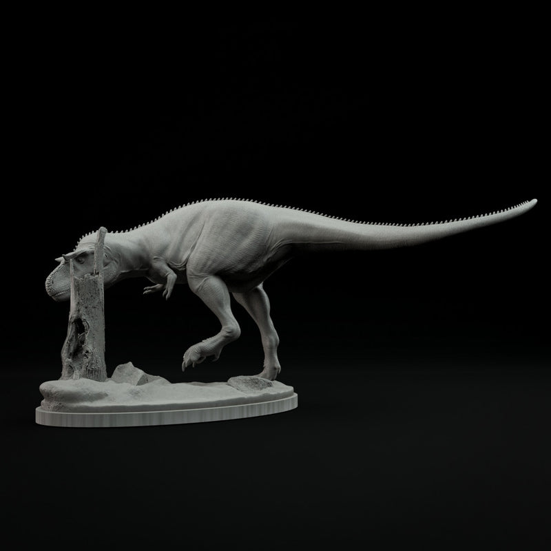 Gorgosaurus exploring 1-35 scale dinosaur - Only-Games