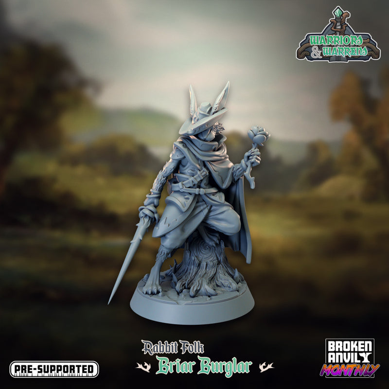 Warriors and Warrens- Briar Burglar - Only-Games