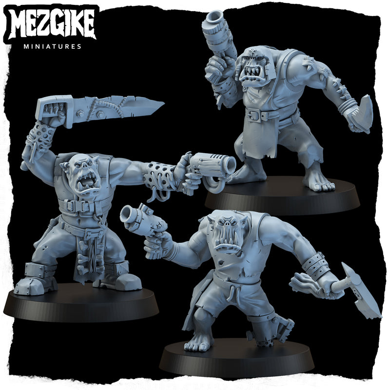 Freebooterz multipart set (10 physical miniatures) - Only-Games