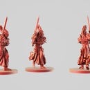 Paladins (4 miniatures) - Only-Games