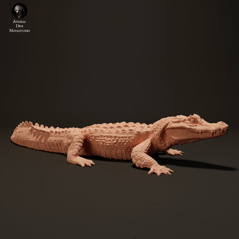 Black Caiman Sunbathing 1/18 - Only-Games