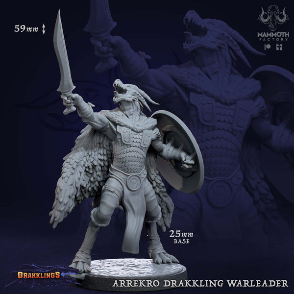 Arrekro, Drakkling Warleader (1 Model) - Only-Games