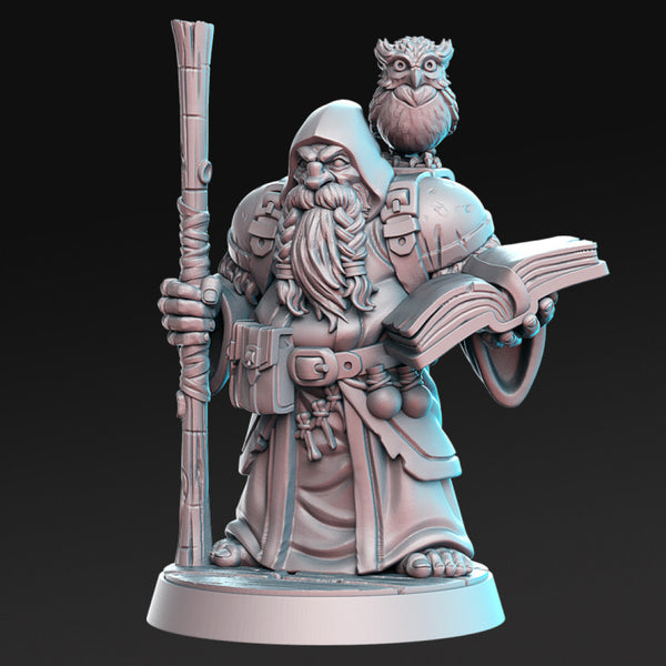 Dramnir - Dwarf Wizard with owl - 32mm - DnD - Only-Games