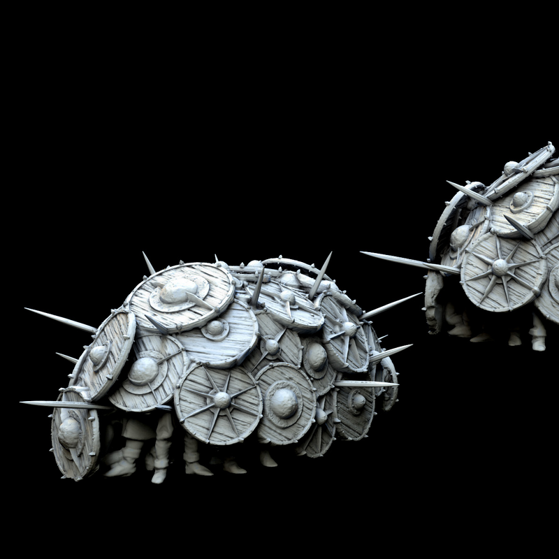 Tortoise Formation Tortoise Formation