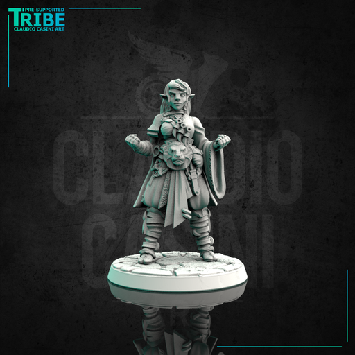 (0095) Female elf, human, tiefling, half-orc, firbolg monk - Only-Games